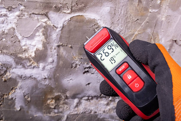 Certified Mold Removal in Speedway, IN