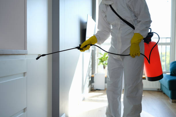 Certified Mold Removal in Speedway, IN
